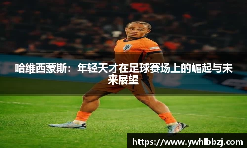 JN体育